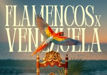Flamencos x Venezuela Barcelona