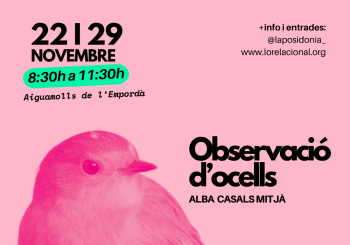 Observació d'ocells en Girona