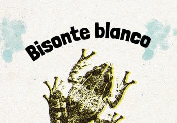 Bisonte Blanco en Madrid