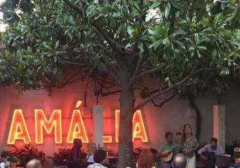 Fado no Jardim da Casa de Amália Rodrigues Lisbon