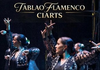 TABLAO FLAMENCO. Celebración Día Internacional del Flamenco Madrid