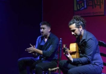 Espectáculo flamenco en el tablao Álvarez Quintero Sevilla