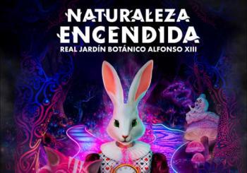 Naturaleza Encendida: Alicia en el País de las Maravillas Madrid