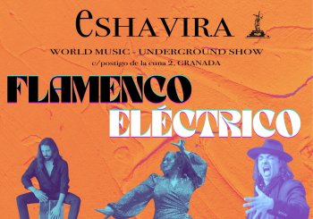 FLAMENCO ELÉCTRICO en Granada