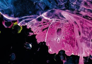 Flow Fusion Dance Night Oct 2026 en Barcelona