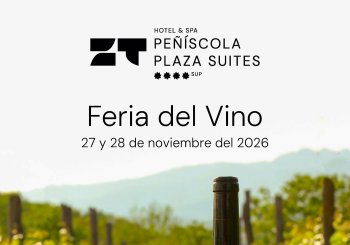 Feria del Vino día 28/11 Castellón/Castelló