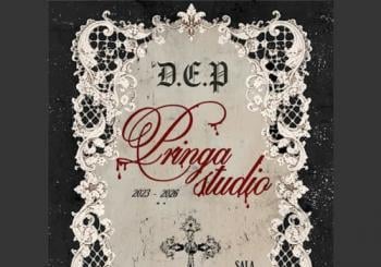 D.E.P Pringa Studio a Madrid