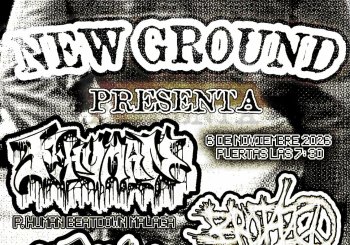 New ground Milwaukee Cádiz