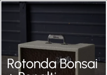 Rotonda Bonsai + Penalti Valencia/València