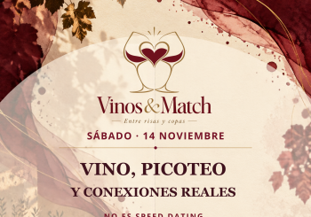 Vinos y Match Alicante/Alacant