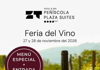 Feria del Vino + Menú día 28/11 Castellón/Castelló