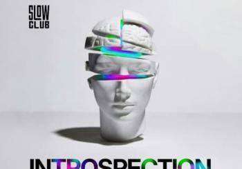 Introspection: Navider Barcelona