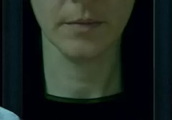 Anatomía de un Vencejo en Madrid