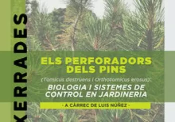 Els perforadors dels pins en Palma de Mallorca