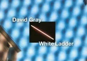 David Gray en Auckland