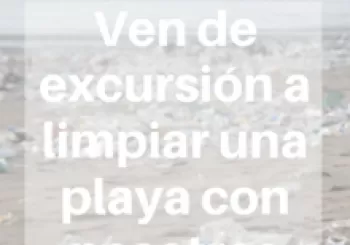 Excursión - Limpieza de playa en sa Duaia en Artà