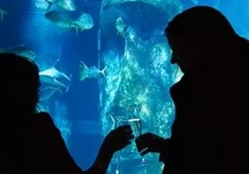 Entradas SEA LIFE London LATES en London Aquarium