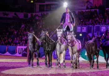 Faszination Pferd 2020 | TOP GALA-Show en Nürnberg