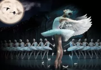 LE LAC DES CYGNES - LE LAC DES CYGNES - BALLET & ORCH en Lille