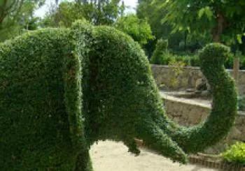 PROMOCIONES COMPRA TU ENTRADA ANTICIPADA, TODO PASARÁ, EL BOSQUE ENCANTADO TE ESPERA, SIN CADUCIDAD en San Martín de Valdeiglesias