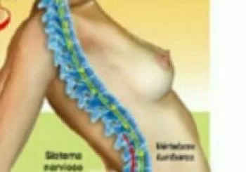 Taller 3 salud integrativa mejora tus orgasmos: sesión activa. Fortalecer en online