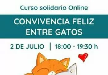 Curso Online 2 julio - Convivencia feliz entre gatos en Borja