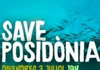 Save Posidònia en Palma de Mallorca