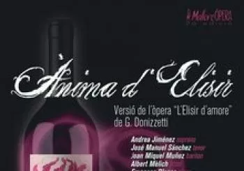 Ànima d'Elisir a la Bodega Son Juliana en Santa Eugenia