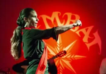Noches de Flamenco en Campos