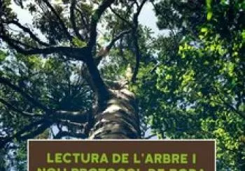 Lectura de l'arbre i nou protocol de poda en Palma de Mallorca
