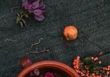 Ceremonia de Cacao en la Serra de Tramuntana en Esporles