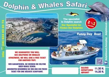 EXCURSIONES EN BARCO AVISTAMENTO DE DELFINI