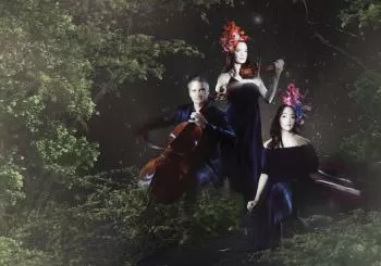 NZTrio: InterFusions en Auckland