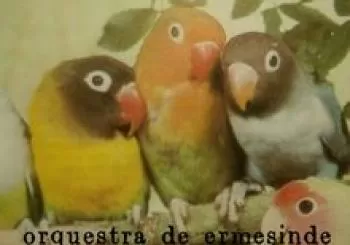 Orquestra de Ermesinde (Música Balcánica) en Barcelona
