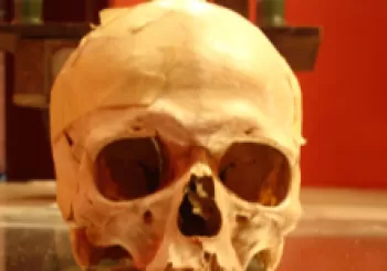 HAMLET MACHINE de Carlos Andres Pereira Fuentes en Tarragona