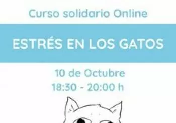 sábado 10 - Estrés en los gatos en Barcelona