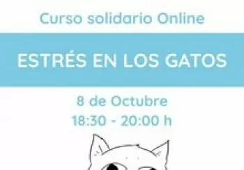 Jueves 8 - Estrés en los gatos en BORJA