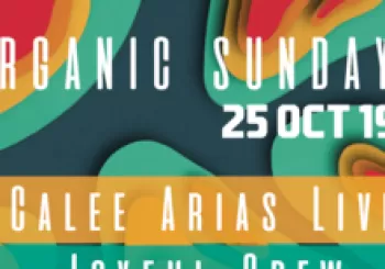 ORGANIC SUNDAYS en Palma de Mallorca