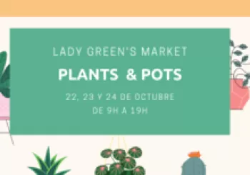 Lady Green's Market 