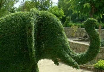 PROMOCIONES COMPRA TU ENTRADA ANTICIPADA, EL BOSQUE ENCANTADO TE ESPERA, SIN CADUCIDAD. APERTURA DEL PARQUE DE JUEVES A DOMINGO en San Martín de Valdeiglesias