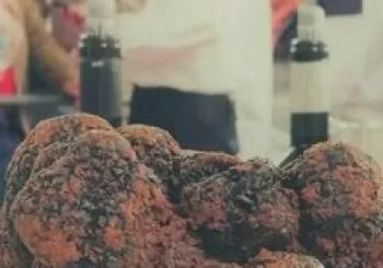 Descubre la trufa en Antoñana