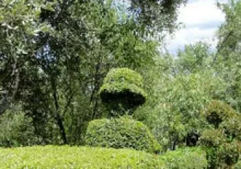 ENTRADA GENERAL. Compra tus entradas ahora podrás venir cuando lo desees. ESTAS ENTRADAS NO CADUCAN. Apertura del parque de JUEVES A DOMINGO San Martín de Valdeiglesias