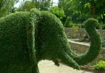 ENTRADA PROMOCIONES COMPRA TU ENTRADA ANTICIPADA, EL BOSQUE ENCANTADO TE ESPERA, SIN CADUCIDAD. APERTURA DEL PARQUE DE JUEVES A DOMINGO en San Martín de Valdeiglesias