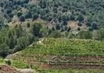 Cata Bodega Mélis - DOQ Priorat en Barcelona