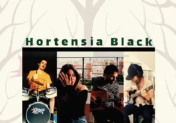 HORTENSIA BLACK 061220 en Sevilla
