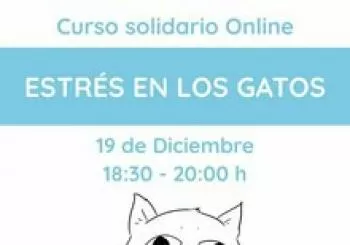 Sábado 19 - Curso Estrés en los gatos en Sabadell
