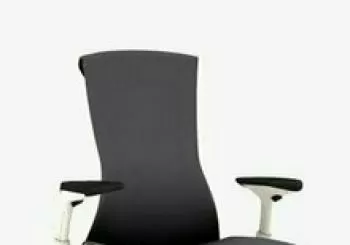 Picking the best Office Ergonomic Chair for Individuals with Osteoporosis en Phoenix