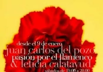 Pasion por el Flamenco en Madrid