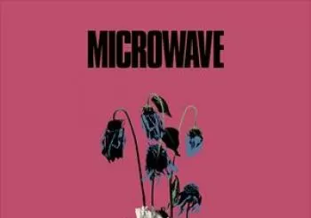 Microwave en Exchange