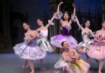 Dornröschen - St. Petersburg Festival Ballet & Festival Orchester en Bremen